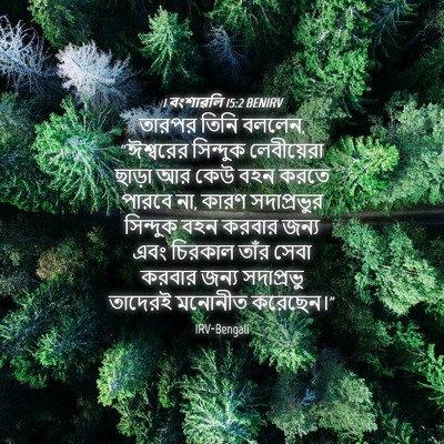 Picture 04 - 1 বংশাৱলি 15:2 BENIRV - তারপর তিনি বললেন, - Bible Verse Picture