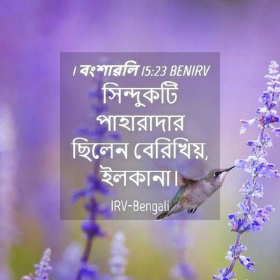 Picture 04 - 1 বংশাৱলি 15:23 BENIRV - সিন্দুকটি - Bible Verse Picture