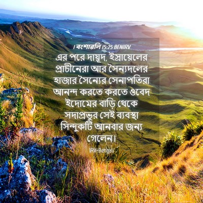 Picture 04 - 1 বংশাৱলি 15:25 BENIRV - এর পরে দায়ূদ, - Bible Verse Picture