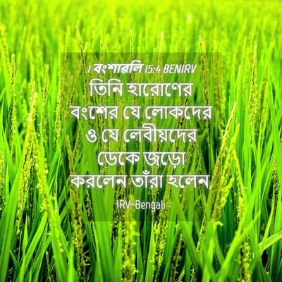 Picture 04 - 1 বংশাৱলি 15:4 BENIRV - তিনি হারোণের - Bible Verse Picture