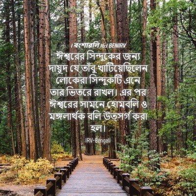 Picture 04 - 1 বংশাৱলি 16:1 BENIRV - ঈশ্বরের সিন্দুকের - Bible Verse Picture