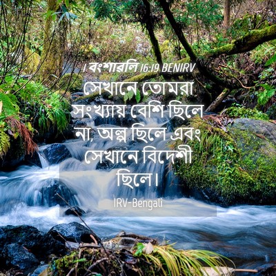 Picture 04 - 1 বংশাৱলি 16:19 BENIRV - সেখানে তোমরা - Bible Verse Picture