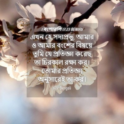 Picture 04 - 1 বংশাৱলি 17:23 BENIRV - এখন হে সদাপ্রভু, - Bible Verse Picture