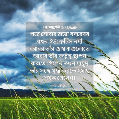Picture 04 - 1 বংশাৱলি 18:3 BENIRV - পরে সোবার রাজা - Bible Verse Picture