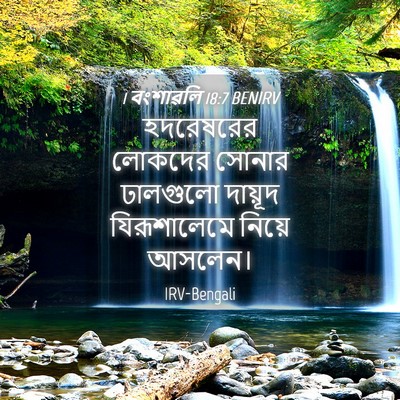 Picture 04 - 1 বংশাৱলি 18:7 BENIRV - হদরেষরের লোকদের - Bible Verse Picture