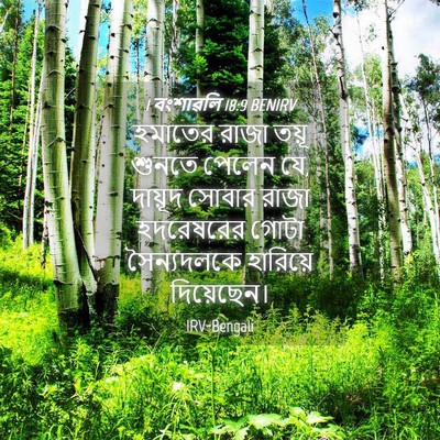 Picture 04 - 1 বংশাৱলি 18:9 BENIRV - হমাতের রাজা তয়ূ - Bible Verse Picture