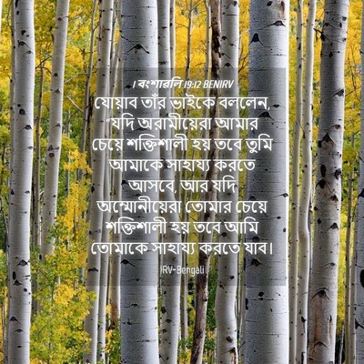 Picture 04 - 1 বংশাৱলি 19:12 BENIRV - যোয়াব তাঁর ভাইকে - Bible Verse Picture