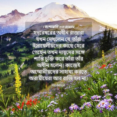 Picture 04 - 1 বংশাৱলি 19:19 BENIRV - হদরেষরের অধীন - Bible Verse Picture