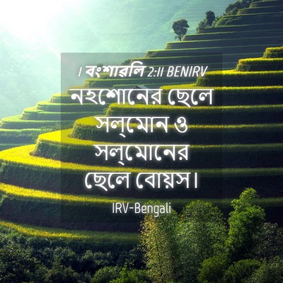 Picture 04 - 1 বংশাৱলি 2:11 BENIRV - নহশোনের ছেলে - Bible Verse Picture