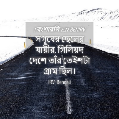 Picture 04 - 1 বংশাৱলি 2:22 BENIRV - সগূবের ছেলের - Bible Verse Picture