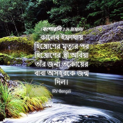 Picture 04 - 1 বংশাৱলি 2:24 BENIRV - কালেব ইফ্রাথায় - Bible Verse Picture