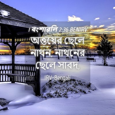 Picture 04 - 1 বংশাৱলি 2:36 BENIRV - অত্তয়ের ছেলে - Bible Verse Picture
