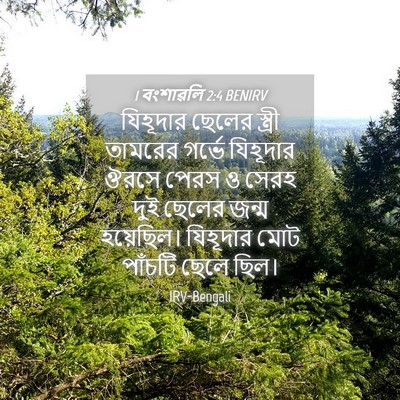 Picture 04 - 1 বংশাৱলি 2:4 BENIRV - যিহূদার ছেলের - Bible Verse Picture