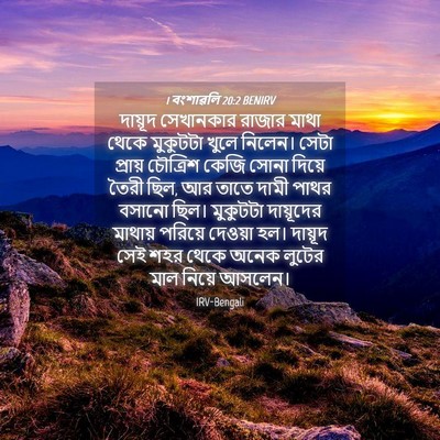 Picture 04 - 1 বংশাৱলি 20:2 BENIRV - দায়ূদ সেখানকার - Bible Verse Picture