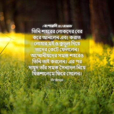 Picture 04 - 1 বংশাৱলি 20:3 BENIRV - তিনি শহরের লোকদের - Bible Verse Picture