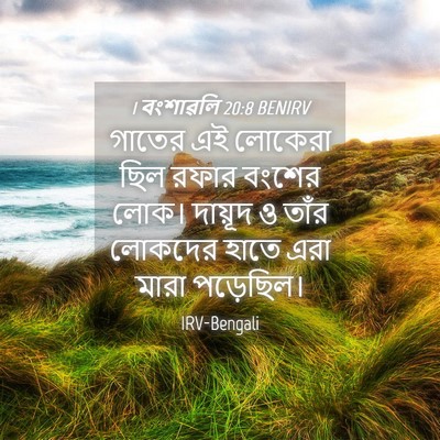 Picture 04 - 1 বংশাৱলি 20:8 BENIRV - গাতের এই লোকেরা - Bible Verse Picture