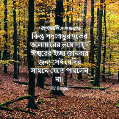Picture 04 - 1 বংশাৱলি 21:30 BENIRV - কিন্তু সদাপ্রভুর - Bible Verse Picture