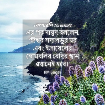 Picture 04 - 1 বংশাৱলি 22:1 BENIRV - এর পর দায়ূদ বললেন, - Bible Verse Picture