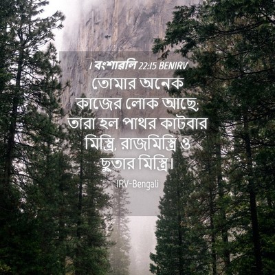 Picture 04 - 1 বংশাৱলি 22:15 BENIRV - তোমার অনেক কাজের - Bible Verse Picture