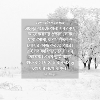 Picture 04 - 1 বংশাৱলি 22:16 BENIRV - এছাড়া রয়েছে - Bible Verse Picture
