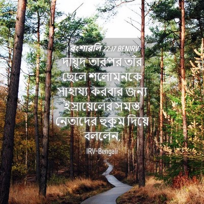 Picture 04 - 1 বংশাৱলি 22:17 BENIRV - দায়ূদ তারপর তাঁর - Bible Verse Picture