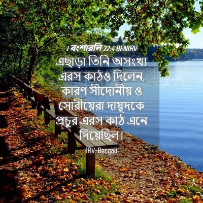 Picture 04 - 1 বংশাৱলি 22:4 BENIRV - এছাড়া তিনি - Bible Verse Picture