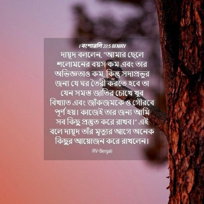 Picture 04 - 1 বংশাৱলি 22:5 BENIRV - দায়ূদ বললেন, - Bible Verse Picture