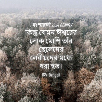 Picture 04 - 1 বংশাৱলি 23:14 BENIRV - কিন্তু যেমন - Bible Verse Picture