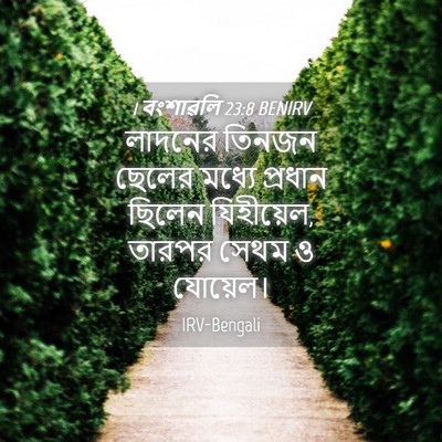 Picture 04 - 1 বংশাৱলি 23:8 BENIRV - লাদনের তিনজন - Bible Verse Picture