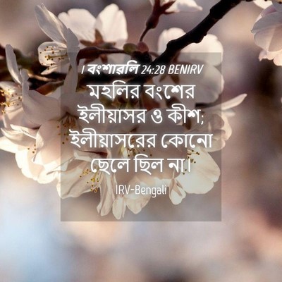 Picture 04 - 1 বংশাৱলি 24:28 BENIRV - মহলির বংশের - Bible Verse Picture
