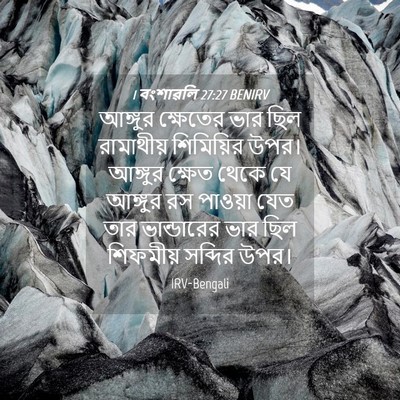 Picture 04 - 1 বংশাৱলি 27:27 BENIRV - আঙ্গুর ক্ষেতের - Bible Verse Picture