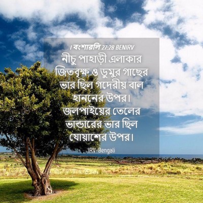 Picture 04 - 1 বংশাৱলি 27:28 BENIRV - নীচু পাহাড়ী - Bible Verse Picture