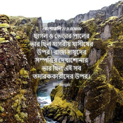 Picture 04 - 1 বংশাৱলি 27:31 BENIRV - ছাগল ও ভেড়ার - Bible Verse Picture