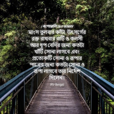 Picture 04 - 1 বংশাৱলি 28:17 BENIRV - মাংস তুলবার কাঁটা, - Bible Verse Picture