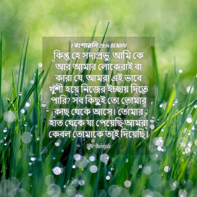 Picture 04 - 1 বংশাৱলি 29:14 BENIRV - কিন্তু হে - Bible Verse Picture