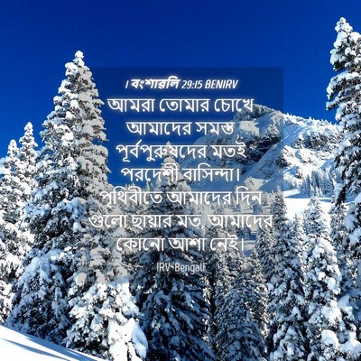 Picture 04 - 1 বংশাৱলি 29:15 BENIRV - আমরা তোমার চোখে - Bible Verse Picture