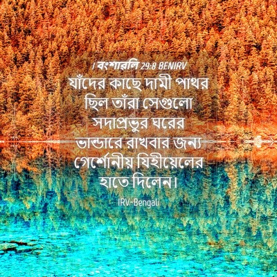 Picture 04 - 1 বংশাৱলি 29:8 BENIRV - যাঁদের কাছে দামী - Bible Verse Picture