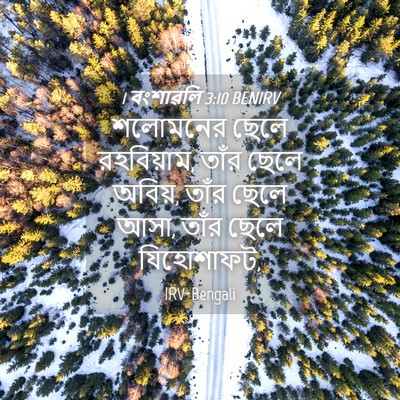 Picture 04 - 1 বংশাৱলি 3:10 BENIRV - শলোমনের ছেলে - Bible Verse Picture