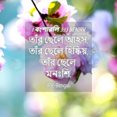 Picture 04 - 1 বংশাৱলি 3:13 BENIRV - তাঁর ছেলে আহস, তাঁর - Bible Verse Picture