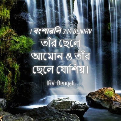 Picture 04 - 1 বংশাৱলি 3:14 BENIRV - তাঁর ছেলে আমোন ও - Bible Verse Picture