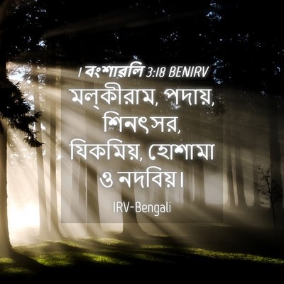 Picture 04 - 1 বংশাৱলি 3:18 BENIRV - মল্‌কীরাম, পদায়, - Bible Verse Picture