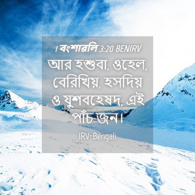 Picture 04 - 1 বংশাৱলি 3:20 BENIRV - আর হশুবা, ওহেল, - Bible Verse Picture