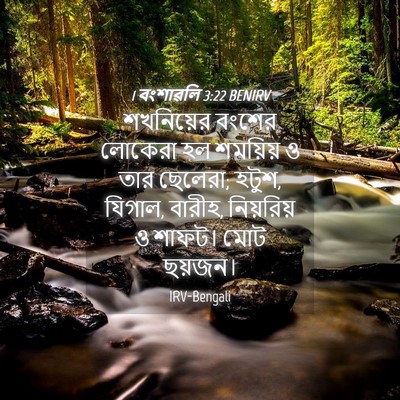 Picture 04 - 1 বংশাৱলি 3:22 BENIRV - শখনিয়ের বংশের - Bible Verse Picture