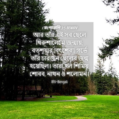 Picture 04 - 1 বংশাৱলি 3:5 BENIRV - আর তাঁর এই সব ছেলে - Bible Verse Picture