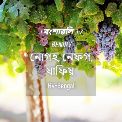 Picture 04 - 1 বংশাৱলি 3:7 BENIRV - নোগহ, নেফগ, - Bible Verse Picture