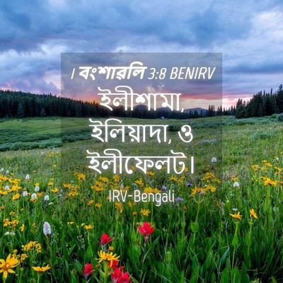 Picture 04 - 1 বংশাৱলি 3:8 BENIRV - ইলীশামা, ইলিয়াদা, - Bible Verse Picture