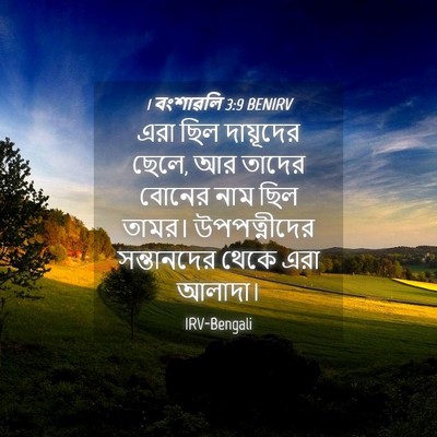 Picture 04 - 1 বংশাৱলি 3:9 BENIRV - এরা ছিল দায়ূদের - Bible Verse Picture