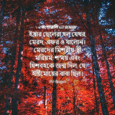 Picture 04 - 1 বংশাৱলি 4:17 BENIRV - ইষ্রার ছেলেরা হল - Bible Verse Picture