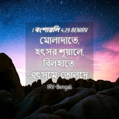 Picture 04 - 1 বংশাৱলি 4:29 BENIRV - মোলাদাতে, হৎসর - Bible Verse Picture