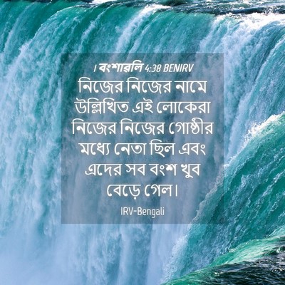 Picture 04 - 1 বংশাৱলি 4:38 BENIRV - নিজের নিজের নামে - Bible Verse Picture